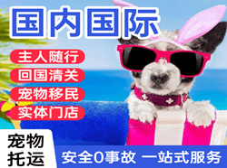 鄂州空运国际宠物托运 【国